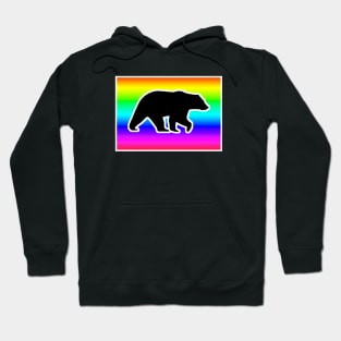 Rainbow Bear Graphic Hoodie